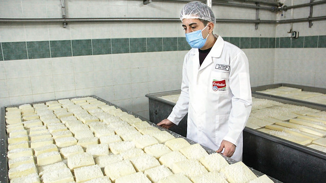 Mihaliç peyniri