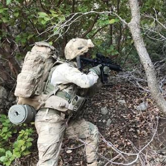 Şırnak ve Siirtte Eren-10 Gabar Operasyonu başlatıldı