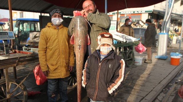 Murat Nehrinde bir buçuk metre boyunda balık avladı: Kilosunu 25 liradan satacak