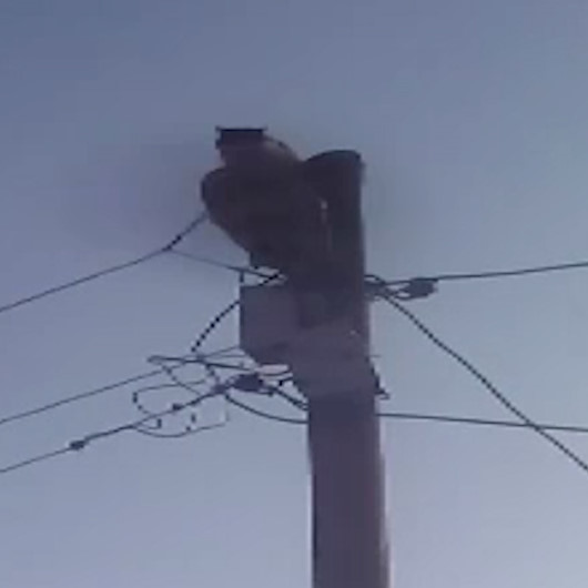 Vanda gülme krizine sokan yardım çağrısı: Evet sayın seyirciler, helloo tenküü