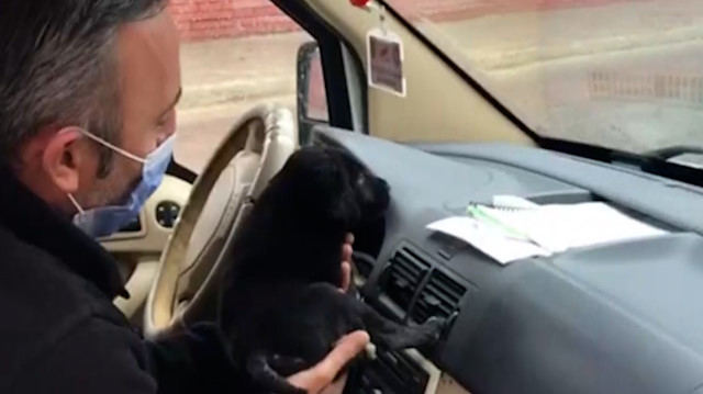 Sakarya'da polis üşüyen köpek yavrusunu ekip otosunda ısıttı