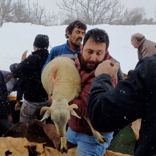 Ahırın çatısı kar nedeniyle çöktü: 150 hayvanı kurtarmak için seferber oldular