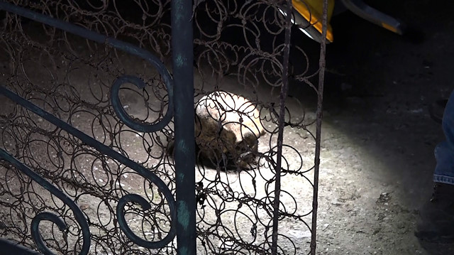 Antalya'da bir evin yanında yer alan bahçede insan kafatası bulundu.