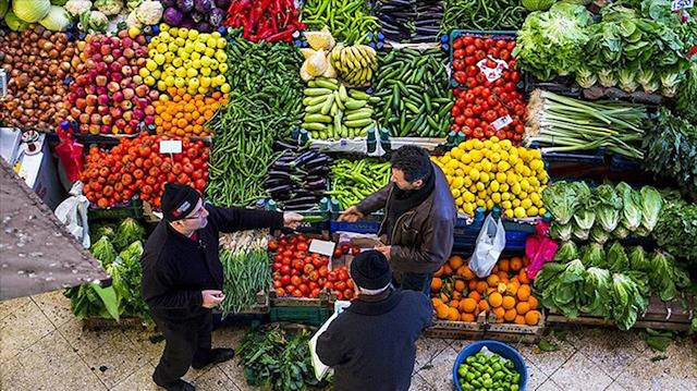 6 برامج للحمية الغذائية وشروط التغذية السليمة