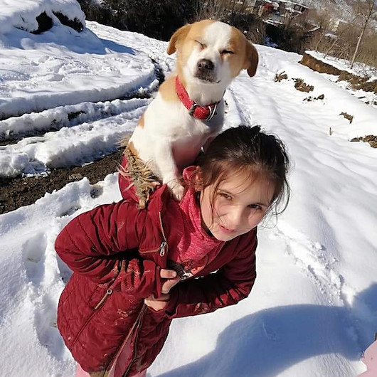 Küçük Cemre hastalanan köpeğini sırtında veterinere götürdü
