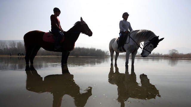على ظهور الخيول.. جولات لاستكشاف الطبيعة في بورصة التركية 