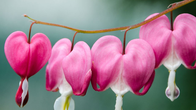En güzel kelimelerin gönlün mihrabına ulaşması