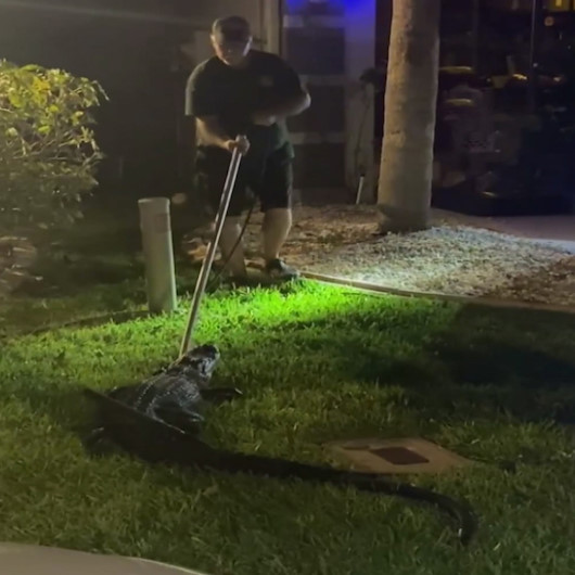 ABDde evin garajına giren timsah paniğe sebep oldu