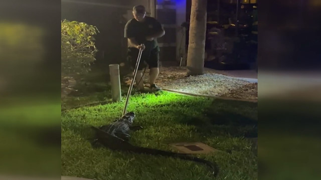 ABD'de evin garajına giren timsah paniğe sebep oldu