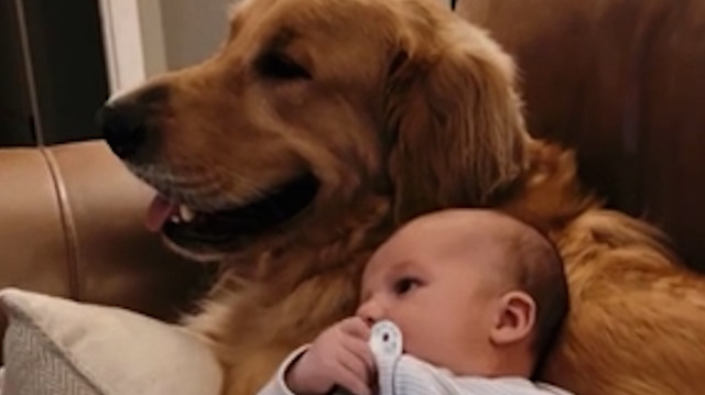 Sadece köpeğinin karnına yattığında sakinleşen bebeğin içinizi ısıtacak görüntüleri