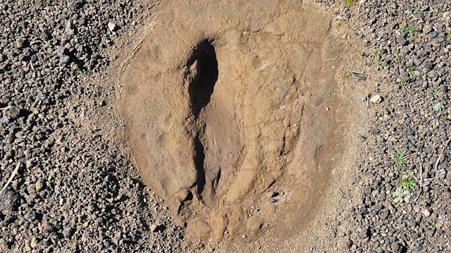 Ayak izi ve küllerin yaklaşık 4 bin 700 ila 5 bin yıl arasında bir yaşa sahip olduğu tescillendi.