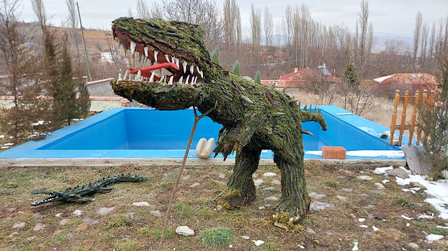 تركي يصنع مجسمات حيوانات من أشجار مجففة وطحالب