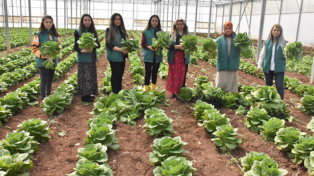 Gaziantep'te tarım eğitimi alan 7 kadın kurdukları kooperatifle ihracata başladı.