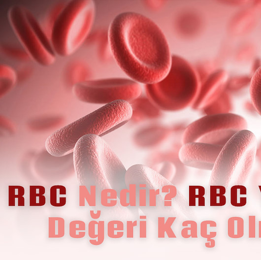 RBC kan değeri kaç olmalı?