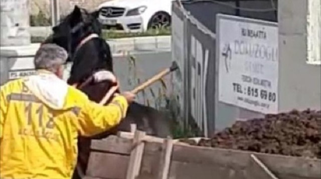 Hatay'da vicdansız adam atı keserle dövdü