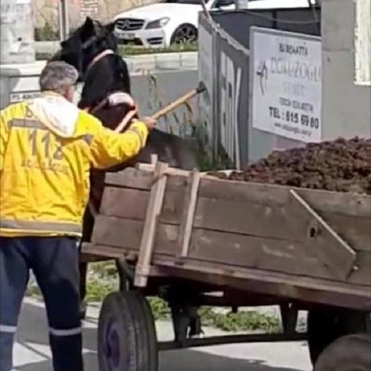Hatayda vicdansız adam atı keserle dövdü