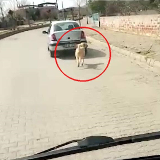 Aydında tepki çeken görüntü: Köpeği aracın arkasına bağlayıp sürükledi