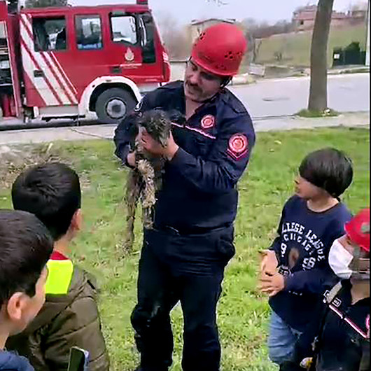 Avcılarda çukura düşen oğlak, çocukların ihbarıyla kurtarıldı