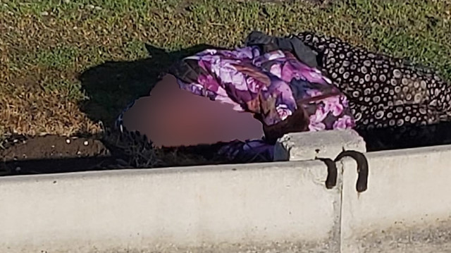 Adana'da Suriyeli kadın tarlada bıçakla öldürülmüş halde bulundu.