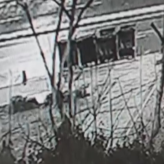 Kız Kulesinin karşısındaki ağaçların elektrikli testereyle kesilme görüntüleri ortaya çıktı