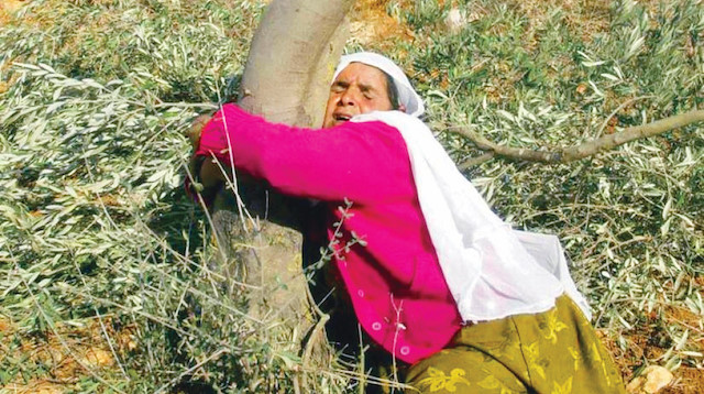 Her yıl 30 Mart, Celile’de öldürülen sivillerin anılması ve İsrail’in işgal politikalarının dünya gündemine taşınması için Filistin’de “Toprak Günü” olarak anılıyor.