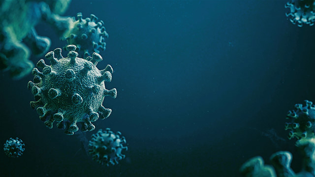 SARS-COV-2 virüsü hakikaten ayrıştırıldı mı?