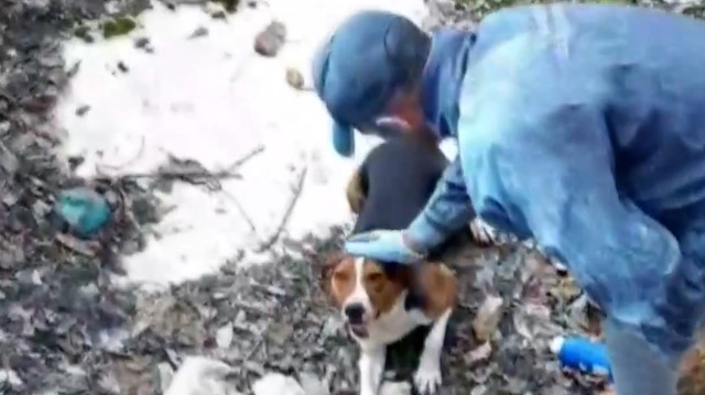 Sulama havuzuna düşen köpeği el ele verip kurtardılar