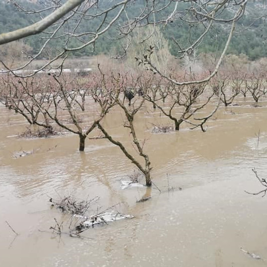 Bilecikte sağanak yağış Göksu Nehrini taşırdı: Tarım arazisi sular altında kaldı