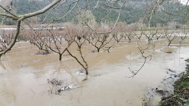 Bilecik'te sağanak yağış Göksu Nehri'ni taşırdı: Tarım arazisi sular altında kaldı