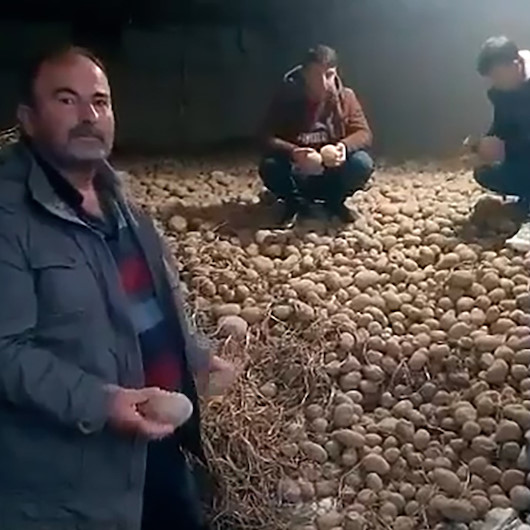 Patates üreticilerinden Erdoğan’a teşekkür videoları: Hem derdimize hem fakir fukaraya derman oldu