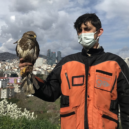 Aç kalan yırtıcı şahin İstanbulda şehrin ortasına indi