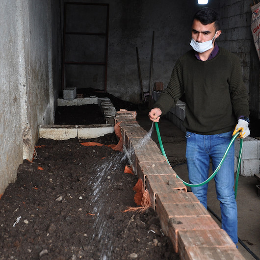 Üzüm bağı için üretmeye başlamıştı: Şimdi siparişlere yetişemiyor