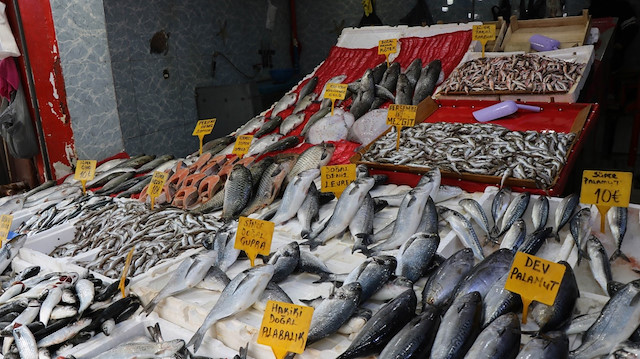  Kültür balıklarından alabalık kilo 25 TL, somon kilo 30 TL, levrek kilo 50 TL, çipura kilo 40 TL ve kefal de 20 TL’den satılıyor.