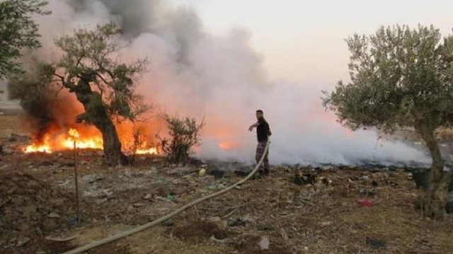 مستوطنون يحرقون عشرات أشجار الزيتون جنوبي الضفة