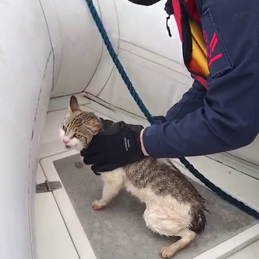 Beylerbeyinde Sahil Güvenlik ekiplerinin kedi kurtarma operasyonu kamerada