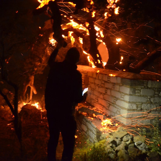 Muğla’da beşer dakika arayla iki orman yangını