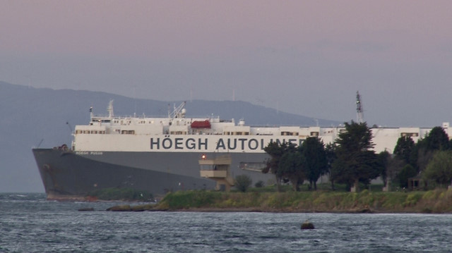 180 metrelik Hoegh Pusan isimli araba taşıyıcı gemi,Tuzla demir sahasında karaya oturdu. 