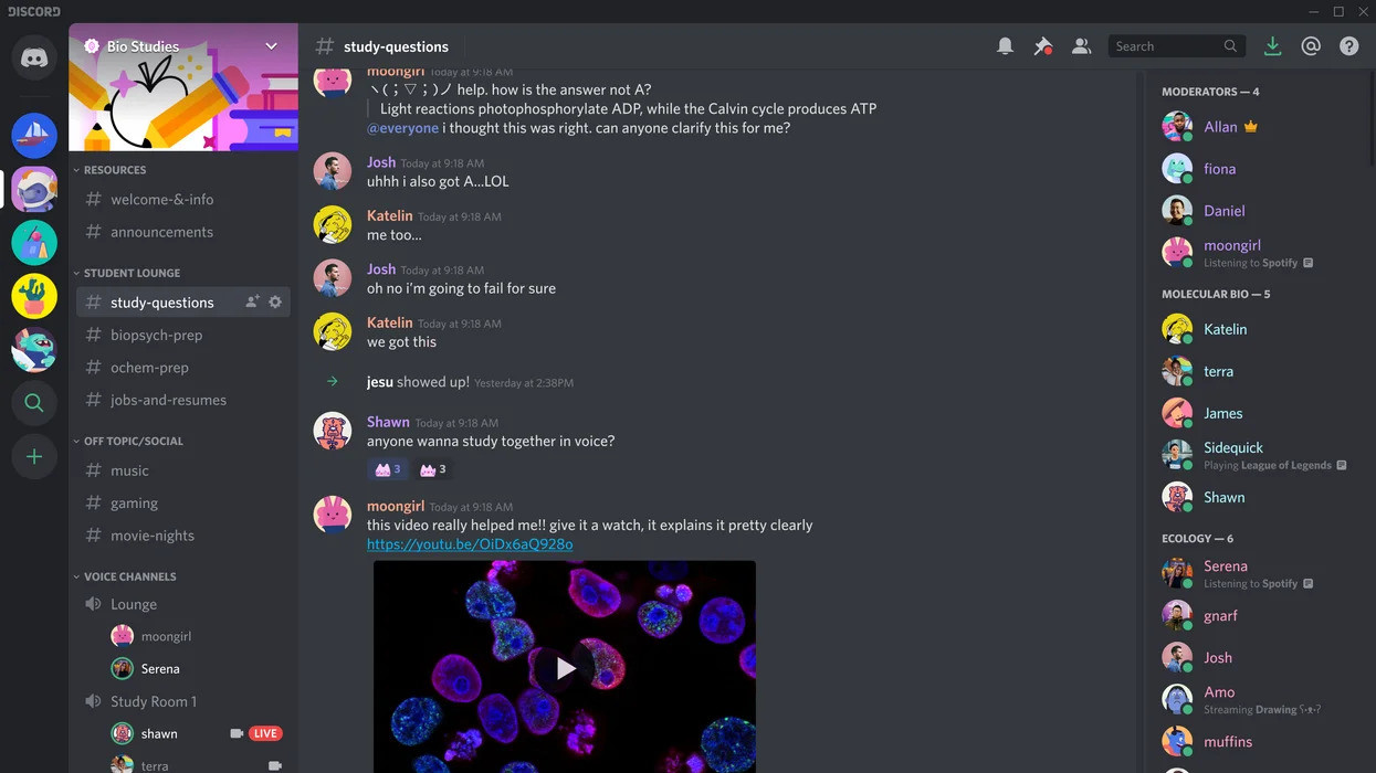 Discord message rust фото 77