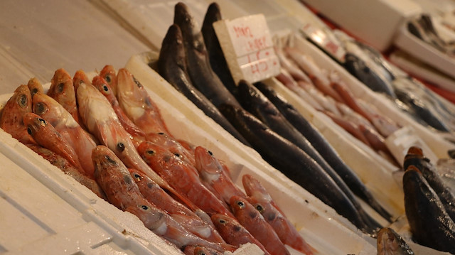 Bazı balık türlerinde beklenen fiyat artışı yaşanmadı