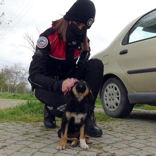 Edirnede nehre atılan yavru köpeğe polis şefkati