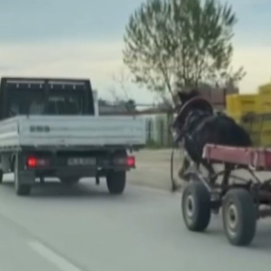 Caddede dört nala koşan at Bursa trafiğini birbirine kattı