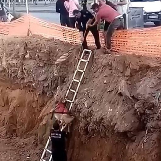 İnşaat için kazılan çukura düşen köpek itfaiye operasyonuyla kurtarıldı