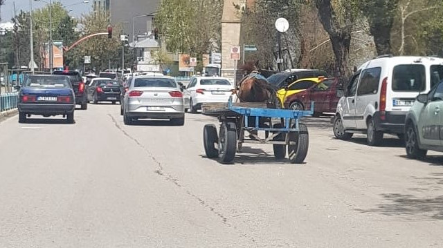 Erzurum’da başıboş at trafikte tehlike saçtı