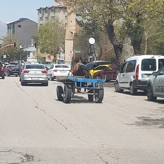 Erzurum’da başıboş at trafikte tehlike saçtı