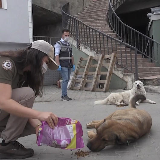 Artvinde polis ekipleri tam kapanmanın ilk gününde sokak hayvanlarını besledi