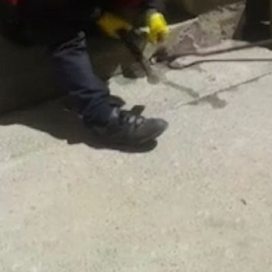 Bingölde kediden kaçarken su giderine sıkışan kargayı itfaiye ekipleri kurtardı