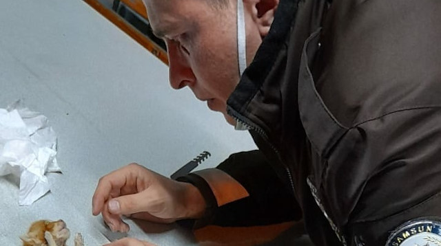 Samsun'da yürekleri ısıtan görüntü: Kalbi duran yavru kediyi suni teneffüs yapan mahalle bekçisi kurtardı