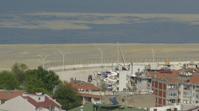 Marmara Denizi'ni bir süredir esir alan müsilaj (deniz salyası) bu kez de Bursa’nın Mudanya ilçesi Güzelyalı sahilinde görüldü.