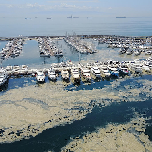 Deniz salyası Pendik Marinayı beyaza boyadı