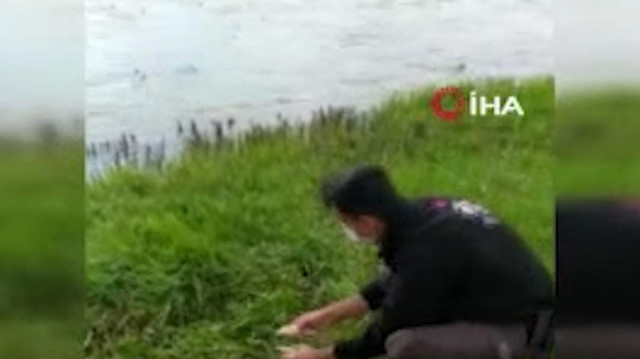 Van'da kaçak avlanan inci kefalleri polis memuru tarafından suya bırakıldı